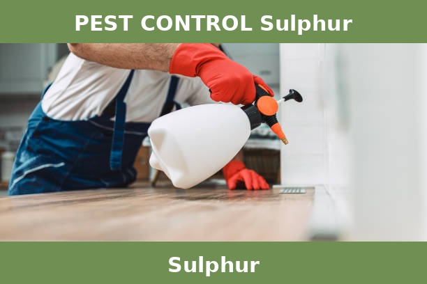 PEST CONTROL Sulphur
